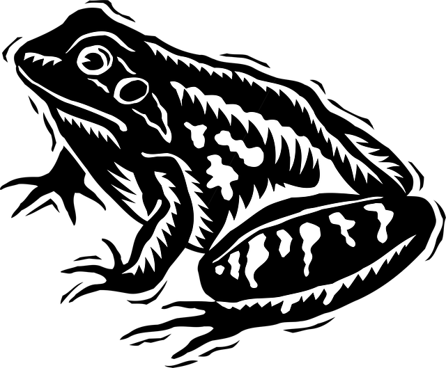 Free frog amphibian rainforest vector