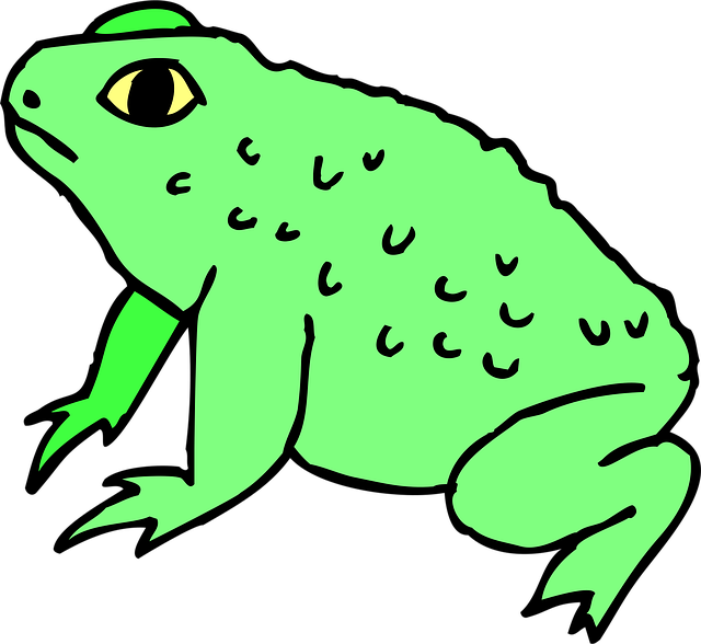 Free frog amphibian warty vector