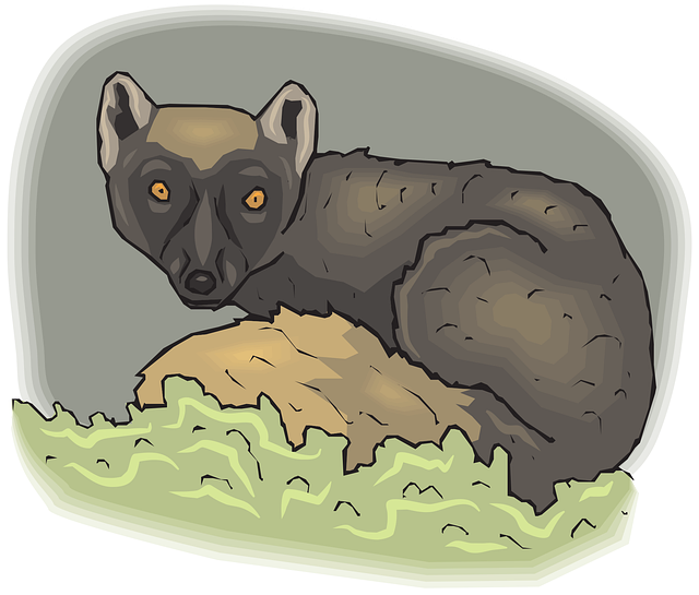 Free lemur animal mammal vector