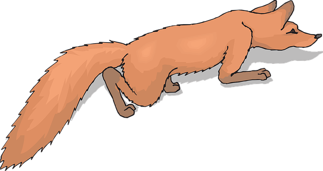 Free orange fox tail vector