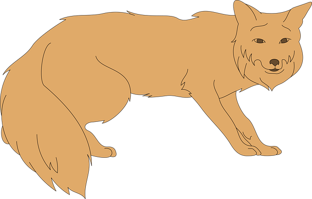 Free fox animal tail vector