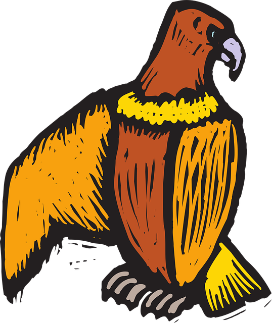Free eagle bird nature vector