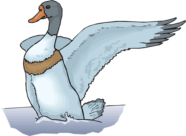 Free water blue duck vector