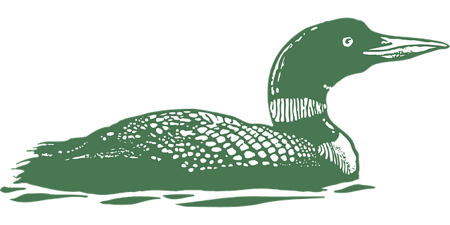 Free green bird waterfowl vector