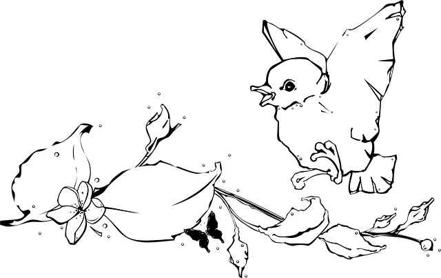 Free bird white baby vector