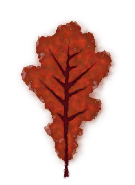 Free leaf autumn fall vector