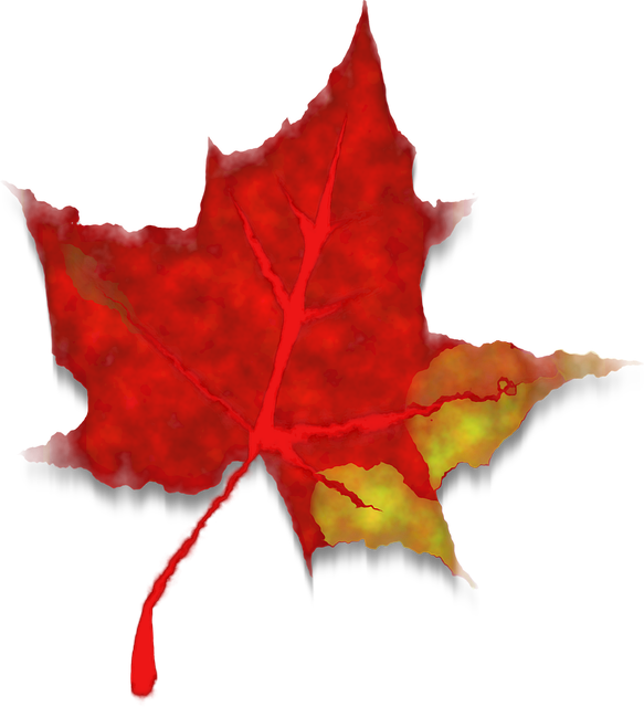 Free red maple leaf vector