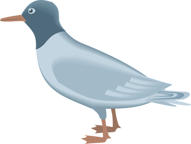 Free blue bird nature vector