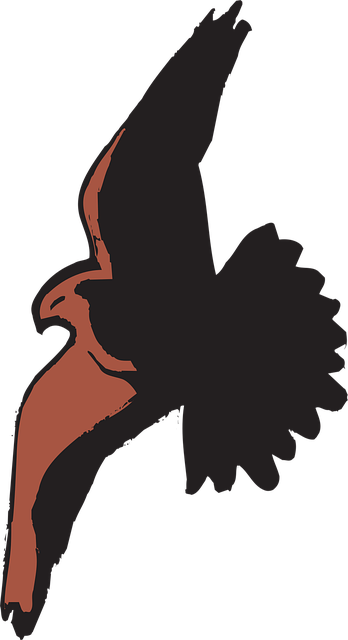 Free spread shadow bird vector
