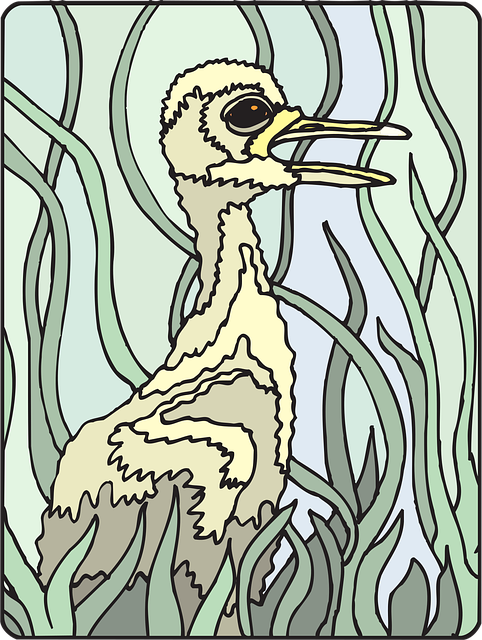 Free paint bird grass illustration