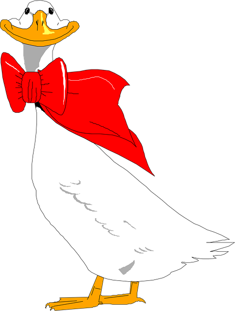 Rojo, Naturaleza, Pájaro, Alas