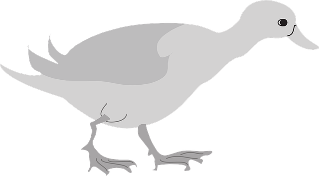 Free feet duck nature illustration