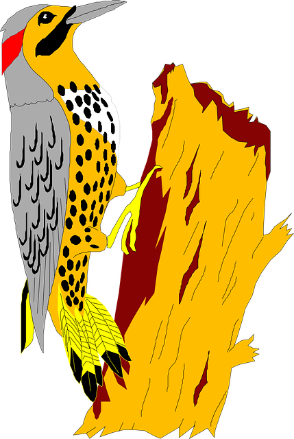 Download free HD stock image of Yellowhammer Tree Free yellowhammer tree nature illustration