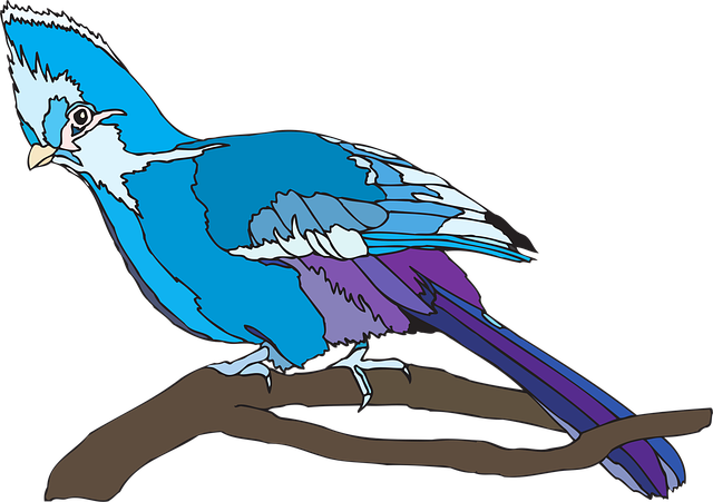 Free bird perched nature vector