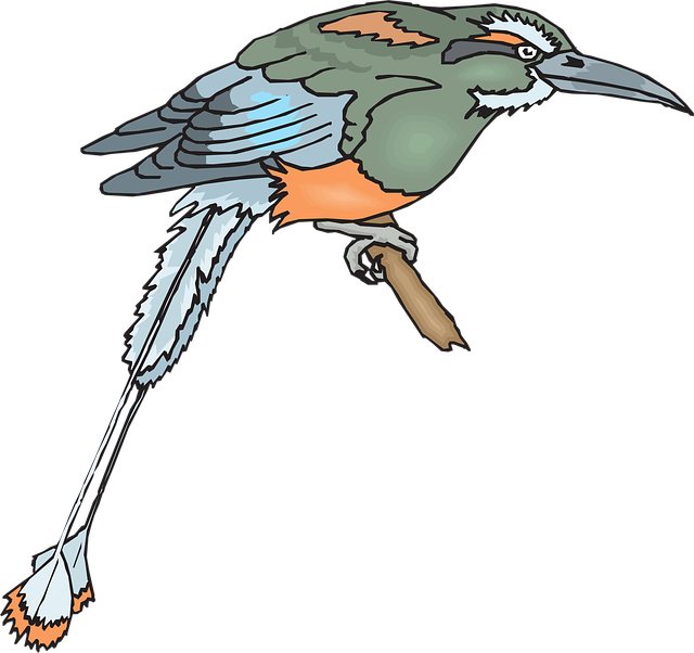 Vogel, Natuur, Branch, Vleugels, Bek