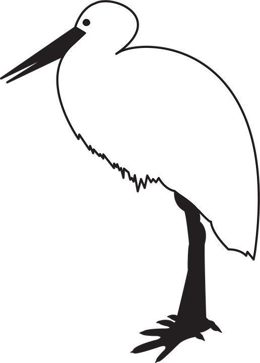Burung Hewan Bangau Gambar Vektor Gratis Di Pixabay