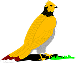 grouse, bird, grass
