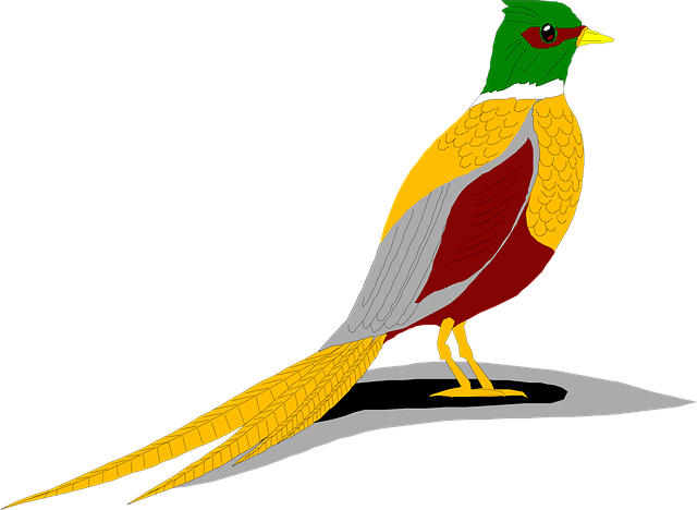 Free shadow bird ring vector