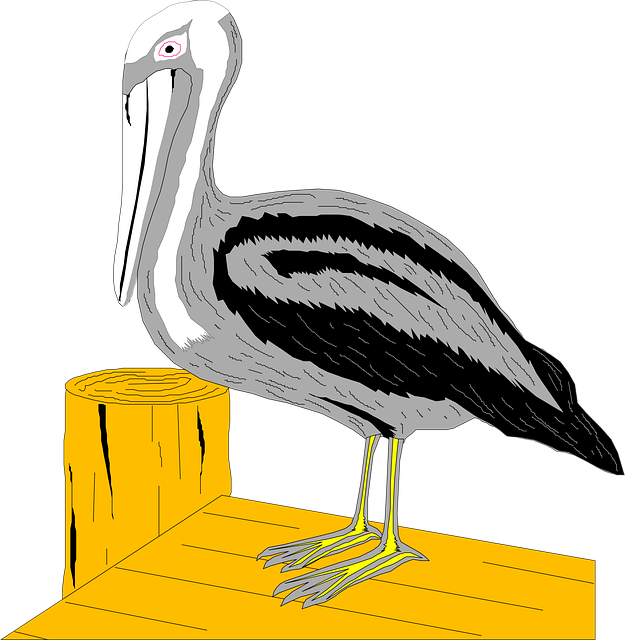 Free water bird wings illustration