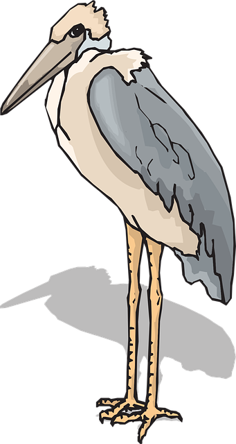 Free bird wings leg vector