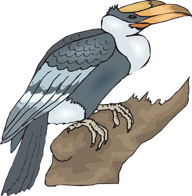 Free bird nature large vector