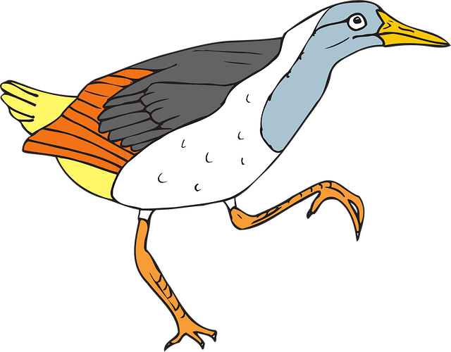 Free bird wings walking vector