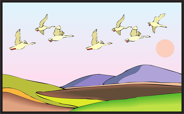 Free land birds flying illustration