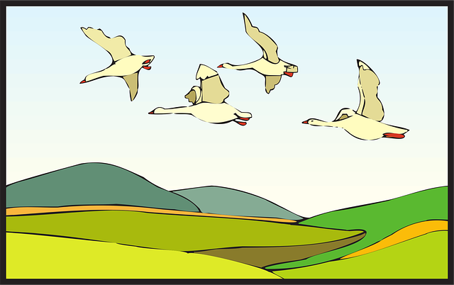 Free land landscape birds vector