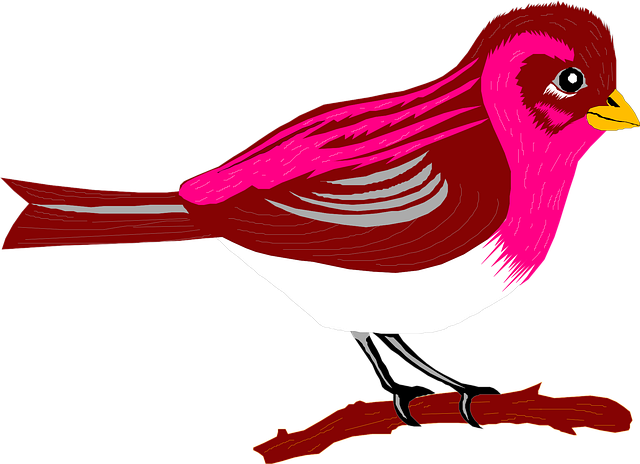 Free brown nature pink vector
