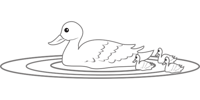 Free duck water swimming illustration