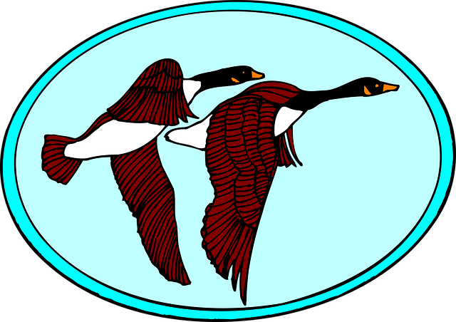 Free geese flying birds vector