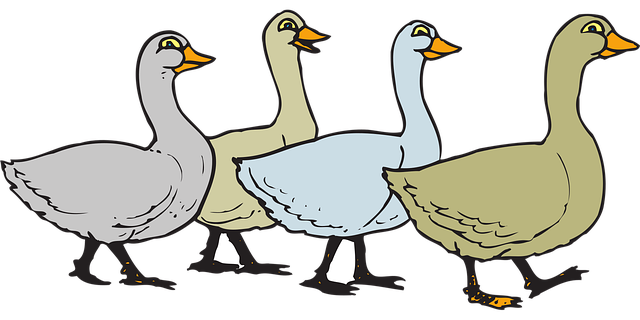 Free geese birds wings vector