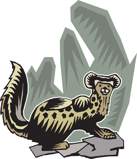 Free ferret animal pet illustration