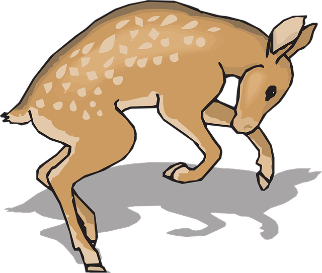 Fawn, Dyr, Hjort, Natur, Dyreliv, Unge