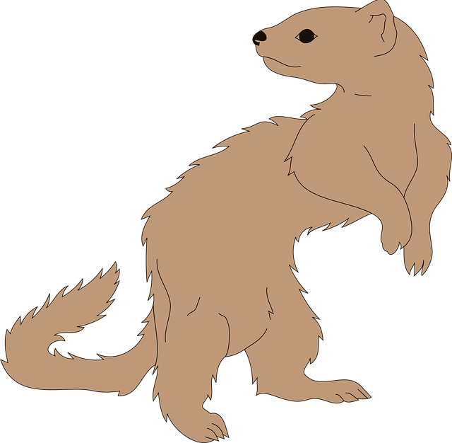 Dihor, Animal, Mamifer