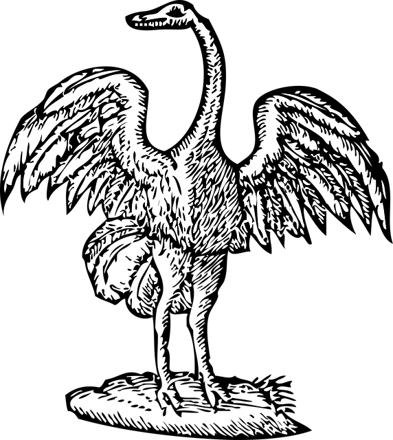 Free bird wings beak illustration