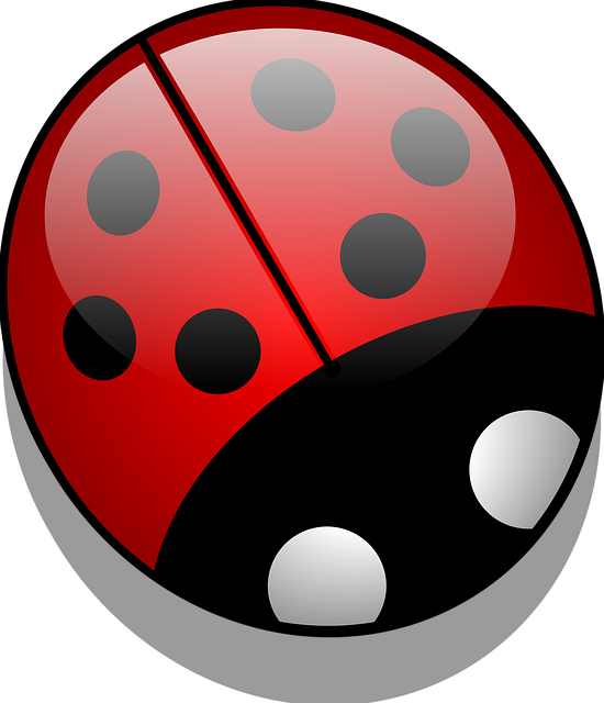 Free ladybug insect nature vector
