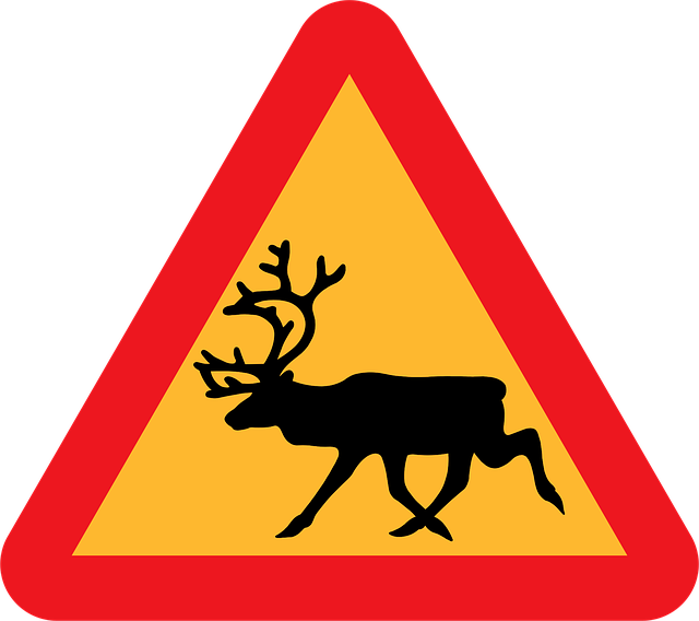 Download free HD stock image of Safety Road Free safety road information vector