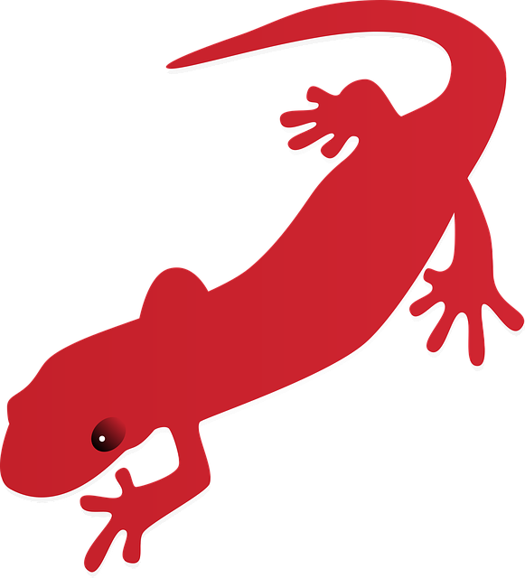 Free lizard red colorful vector