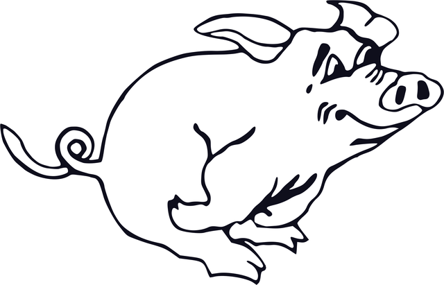 Free pig running animal vector