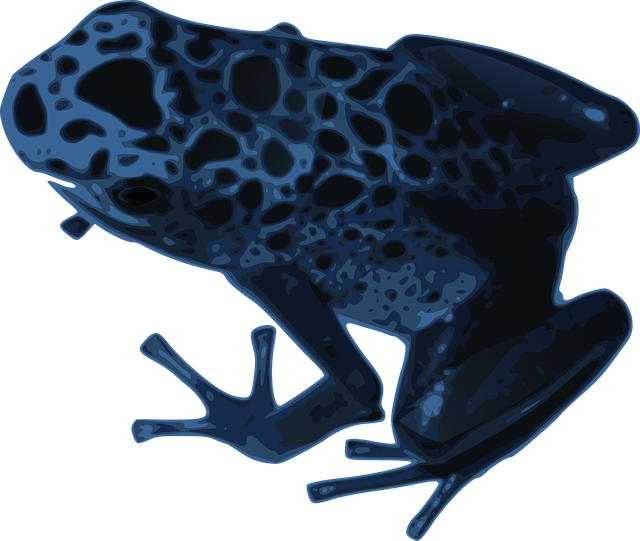 Free frog nature animal vector