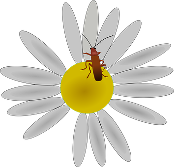 9+ Free Flower Bug & Flower Vectors - Pixabay