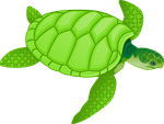 tortoise, green, reptiles