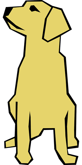 Hund, Valp, Kjæledyr, Gylden, Retriever