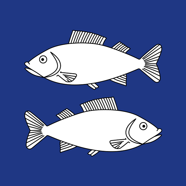 Free blue opposite fish vector