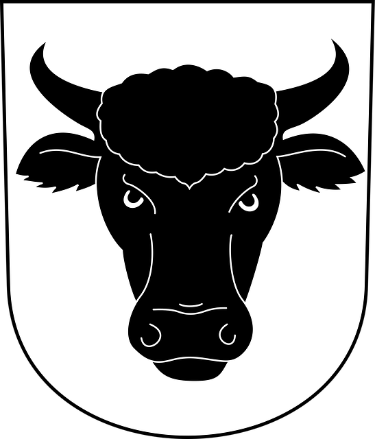 Free bullhead steer bull vector