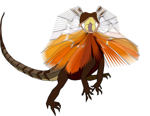 Free lizard reptile species vector