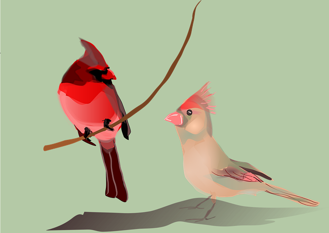 Free birds branch love vector