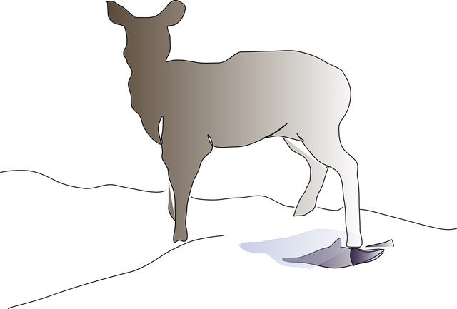 Free deer animal mammal vector