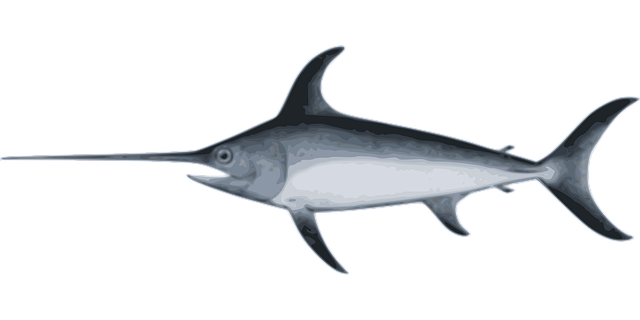 Free swordfish species underwater illustration
